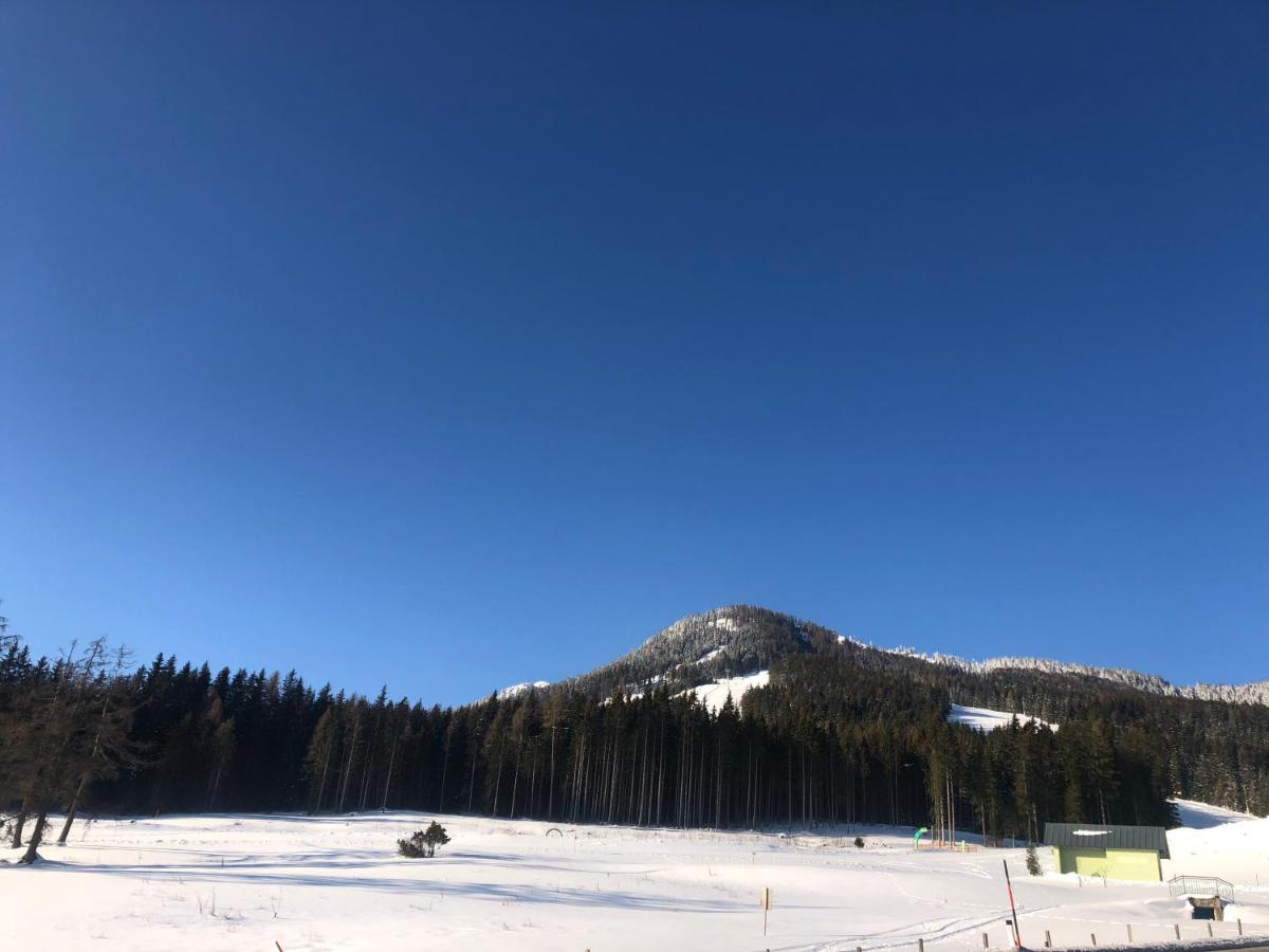 Appartement Schwab Ski In & Out シュラートミンク エクステリア 写真